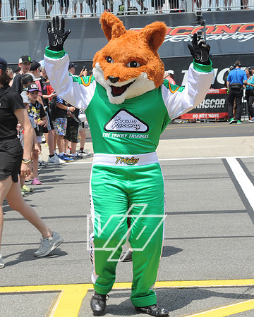 PR-PR_942