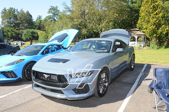 DSC_0481