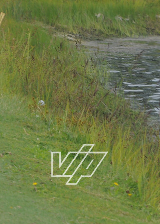OLV-GOLF_725