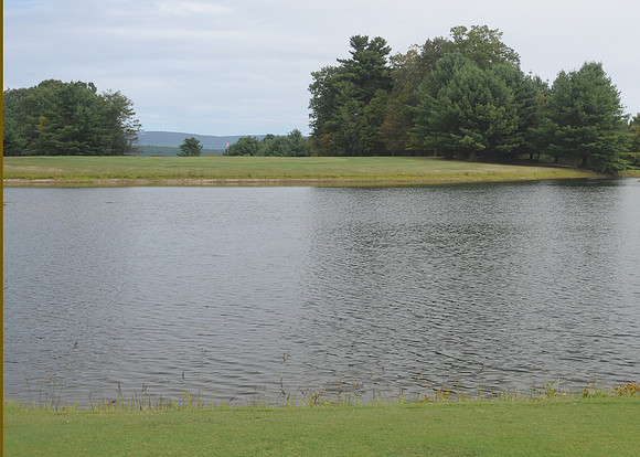 OLV-GOLF_483