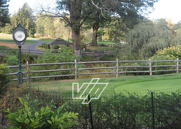 PMVFC-GT_232