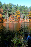 BTIL_022