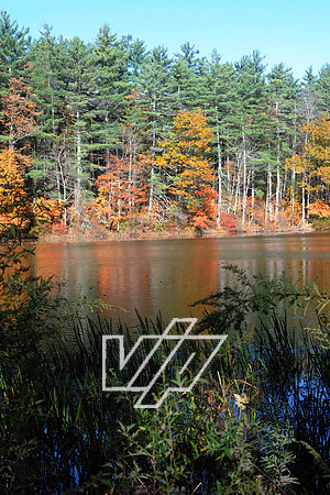 BTIL_022