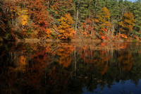 BTIL_065