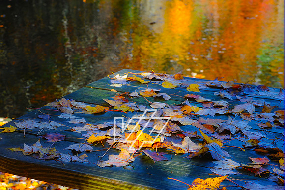 BTIL_112_4x