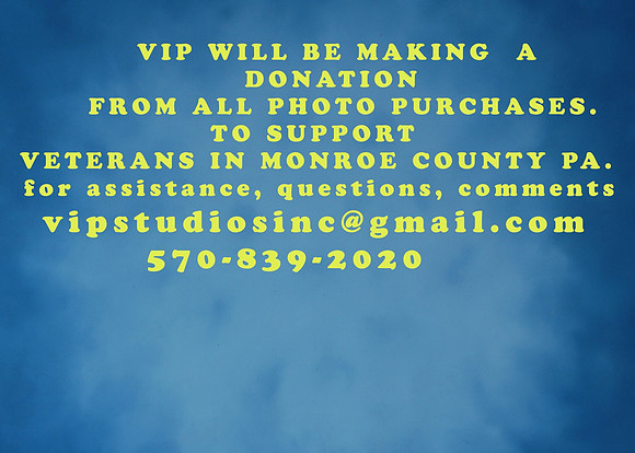 donation -veterans monroe county