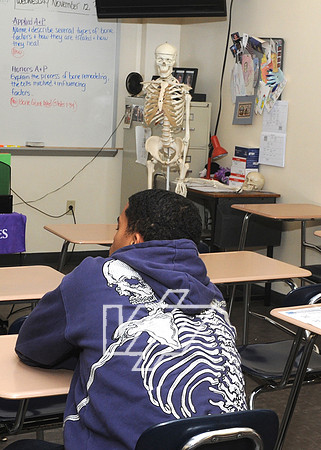 MSVP-CareerDay_275
