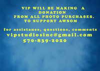 donation -AWSOM
