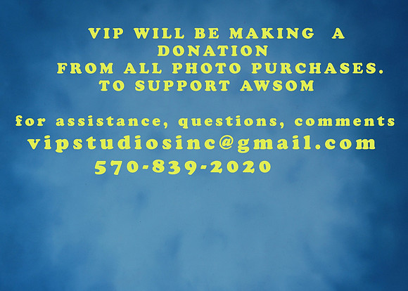 donation -AWSOM