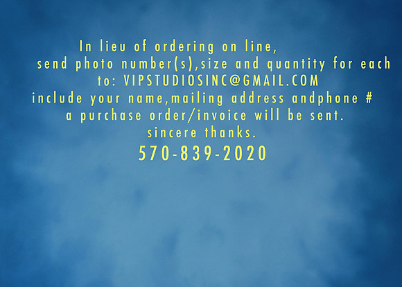 ORDERING INFO FX