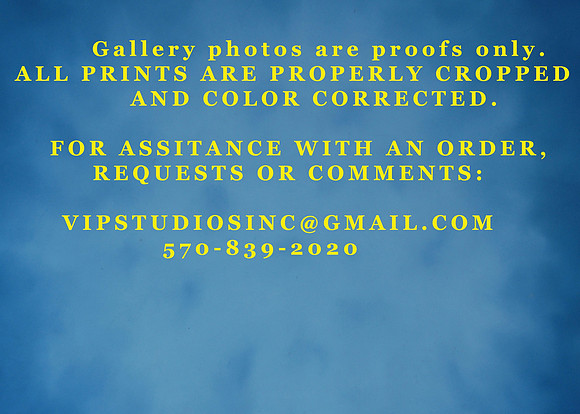 ORDERING INFORMATION A