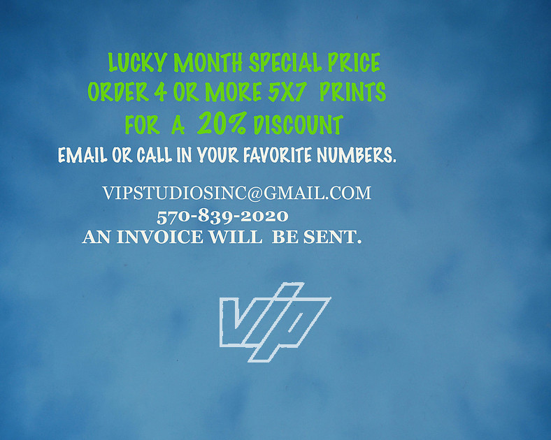 VIP STUDIOS Inc. | MARCH 2026