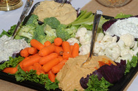 MCHA-DNR_038