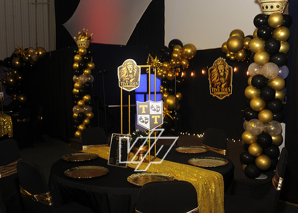 2026-LionsBall_022