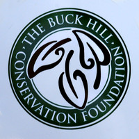 TBHCF-LOGO_007.FXjpg_5x5 copy