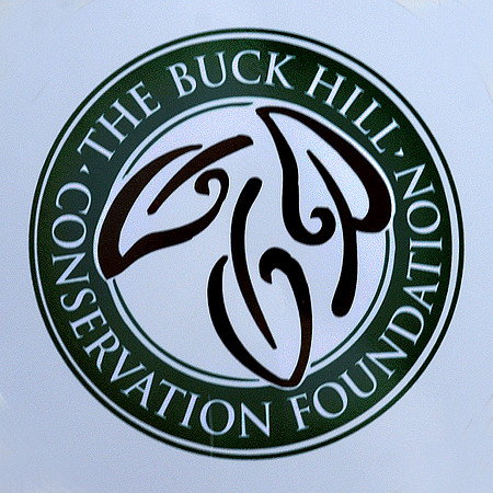 TBHCF-LOGO_007.FXjpg_5x5 copy