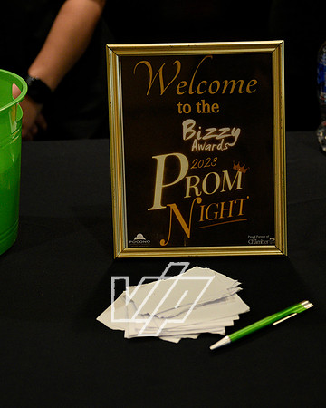 BizzyProm_155