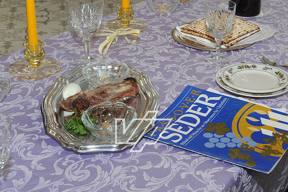 SEDER_026