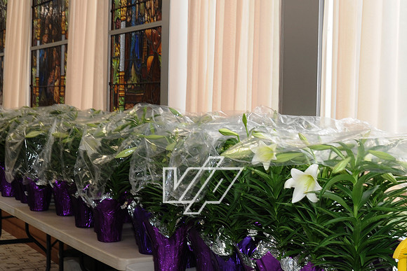 SEDER_033