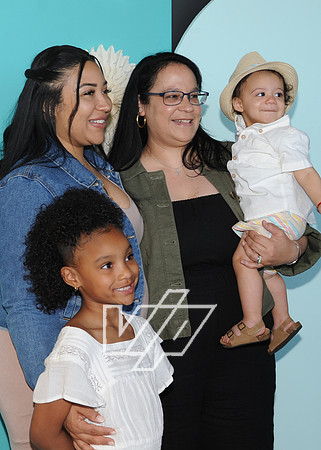 CC-MOM_210