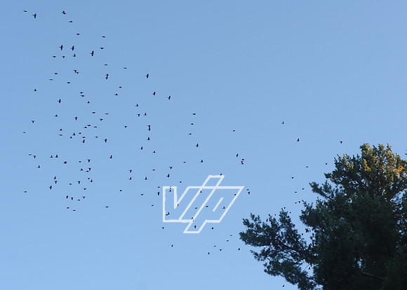 PSR-3-OCT_056