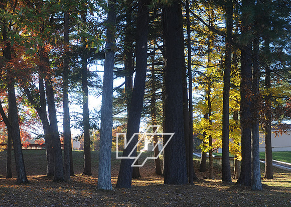 PSR-24-OCT_107