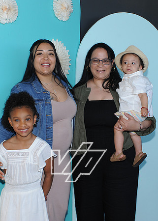 CC-MOM_211