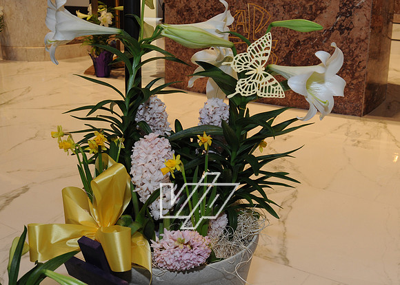 Easter-mhtp_126
