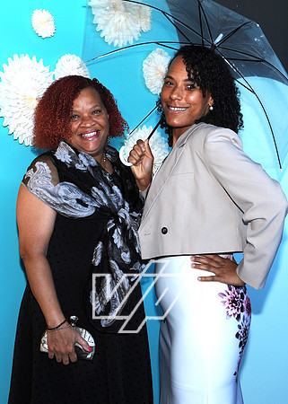 CC-MOM_343