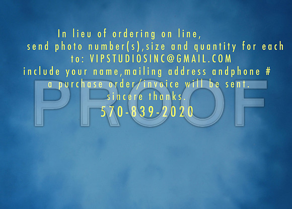 HOW TO ORDER INFO FX