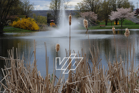AlbertonPrk_005