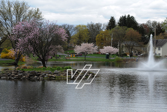 AlbertonPrk_013