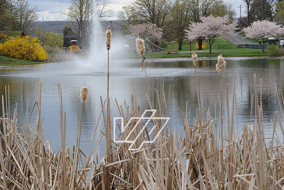 AlbertonPrk_006