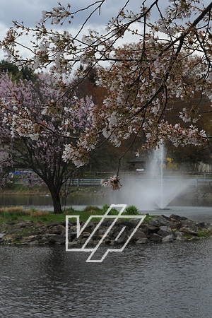 AlbertonPrk_023
