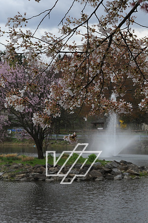AlbertonPrk_021