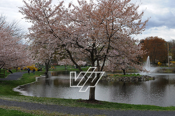 AlbertonPrk_014