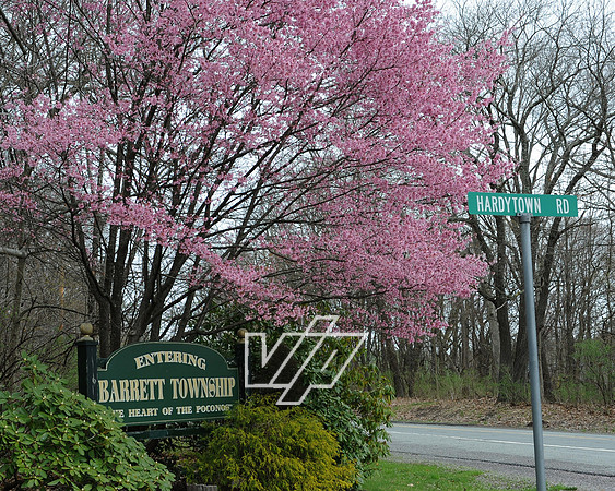 barrett_017