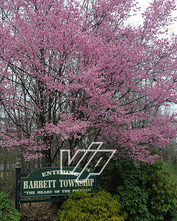 barrett_035