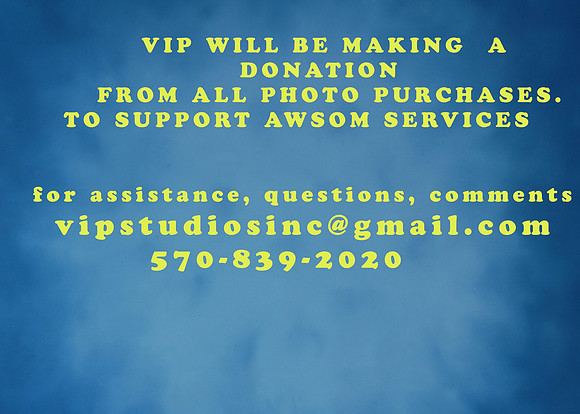 vip donation awsom