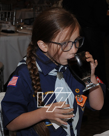 Scouts-HLD_061