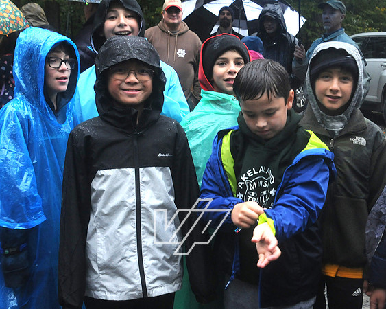 MTC_CubFams_072