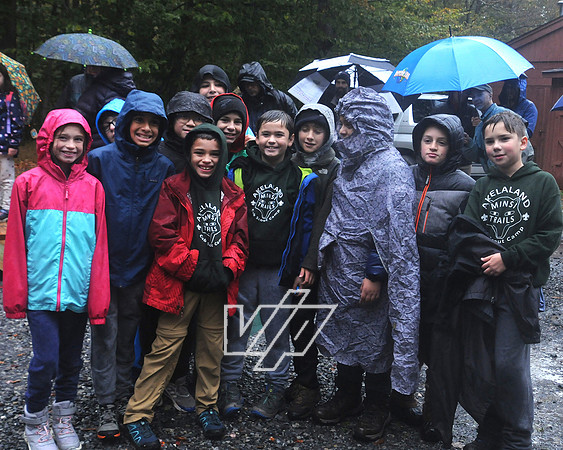 MTC_CubFams_075