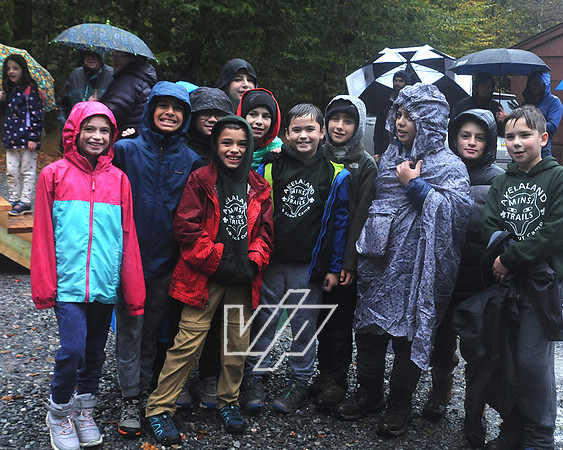 MTC_CubFams_076
