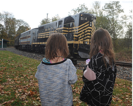BTHS-Train_201
