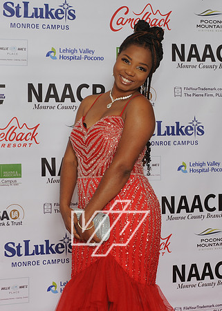 NAACP-LIB_160