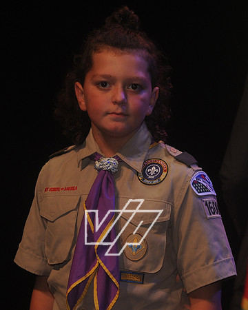 LVLD_218