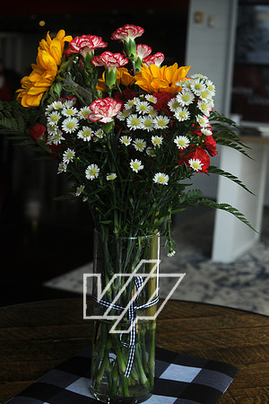 CC-MD_529