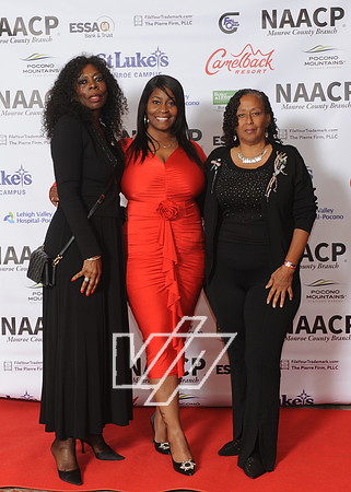 NAACP-LIB_233
