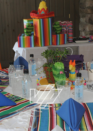 WGA-FIESTA_210