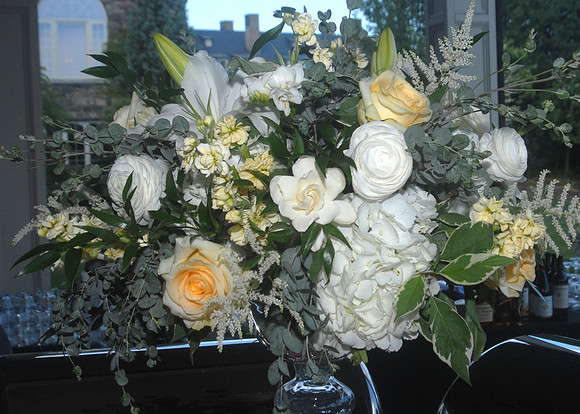 DJC_242